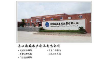 湛江安防與軟件開發 融合發展與未來趨勢