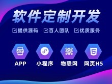 雷州網站建設與湛江軟件開發 數字化時代的企業引擎